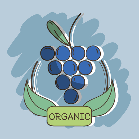 fresh grape organ fruits with leavesのイラスト素材