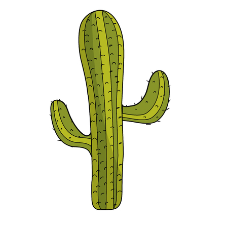 beautiful cactus plant of desert vector illustrationのイラスト素材