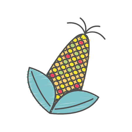 delicious and healthy corn vegan food vector illustrationのイラスト素材