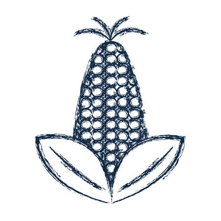figure delicious and healthy corn vegan food vector illustrationの写真素材