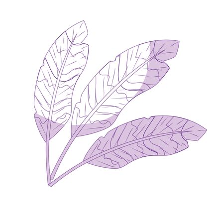 silhouette beauty feathers style with decoration designのイラスト素材