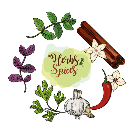 A herbs and spices plants and organ food vector illustration.のイラスト素材