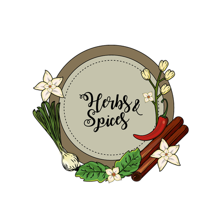 emblem herbs and spices plants and organ food vector illustrationのイラスト素材