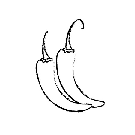 figure cayenne chili natural vegetable nutritionのイラスト素材