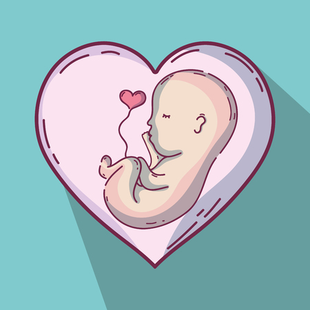 baby inside uterum with umbilical cordのイラスト素材