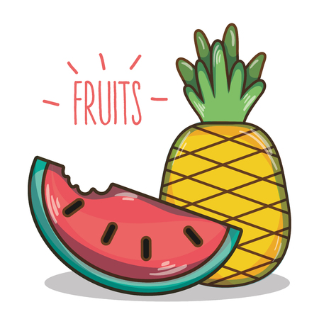 delicious and fresh tropical watermelon and pineapple fruitのイラスト素材