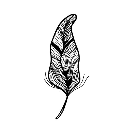 rustic feather ornate decorative designのイラスト素材