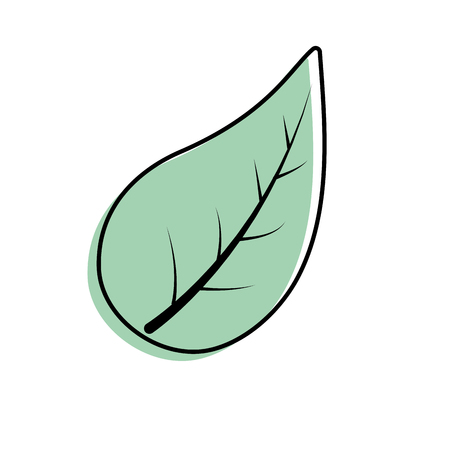 natural leaf of plant and exotic botany vector illustrationのイラスト素材