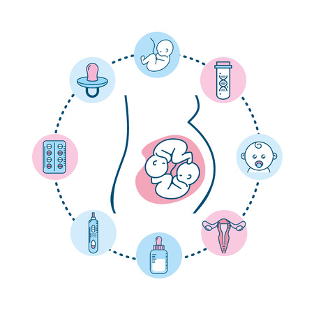 set pregnancy fertilization process to biology reproductionのイラスト素材