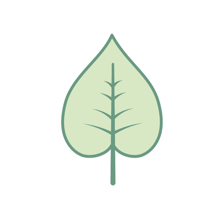 natural and tropical leaf vector illustration designのイラスト素材