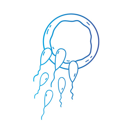 line reproduction fertilizing ovum vector illustration iconのイラスト素材