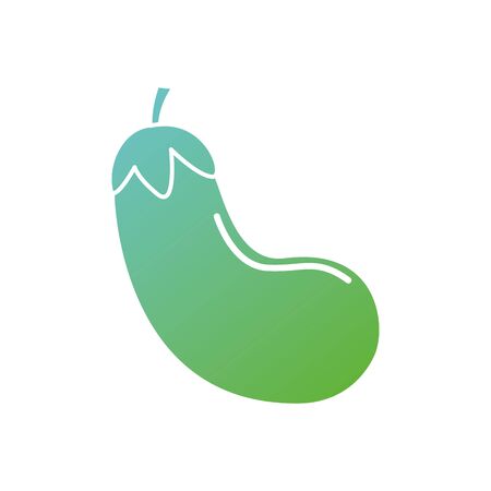 contour organic eggplant vegetables nutrition vector illustrationのイラスト素材