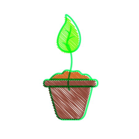 Plant of floral garden and nature theme on white background, vector illustration.のイラスト素材