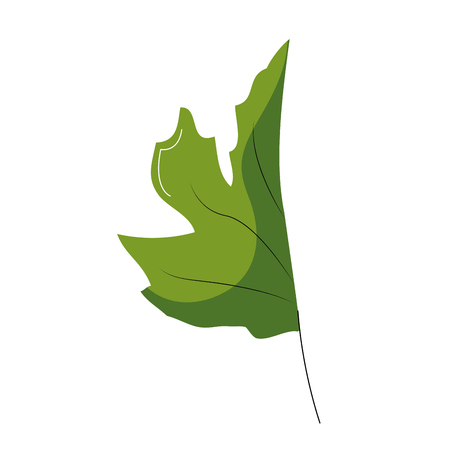 Leaf of plant floral and garden theme Isolated design Vector illustrationのイラスト素材