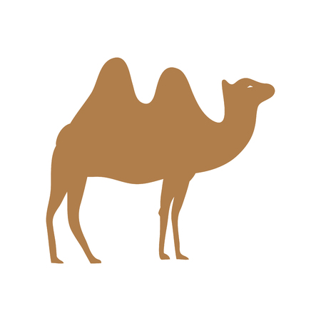 Camel of animal zoo and desert theme Isolated design Vector illustrationのイラスト素材