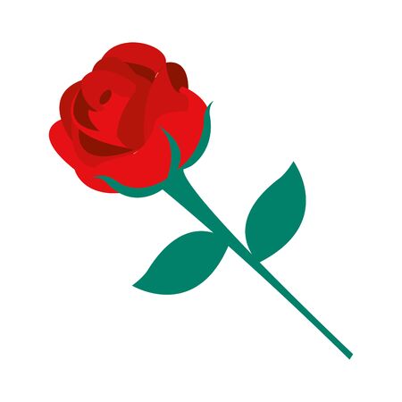 Rose of garden floral and nature theme Isolated design Vector illustrationのイラスト素材