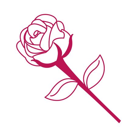 Isolated rose design Isolated rose design