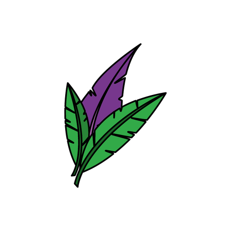 Feather of plume bird and decoration theme Isolated design Vector illustrationのイラスト素材