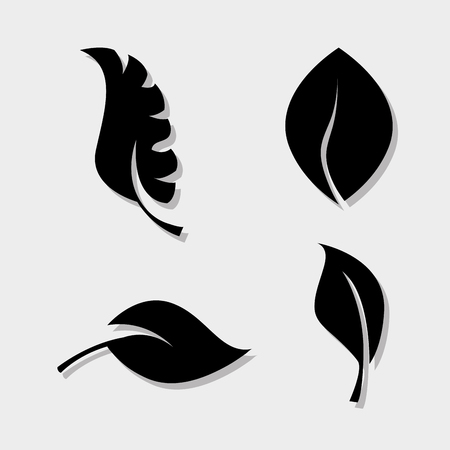 Set of natural leaves, organic food illustrationのイラスト素材