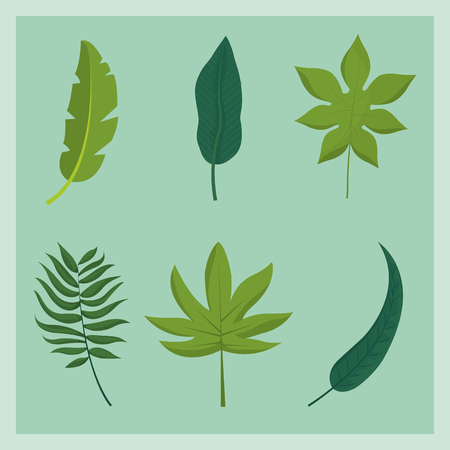 Tropical leaves of nature plant and botany theme Vector illustrationのイラスト素材