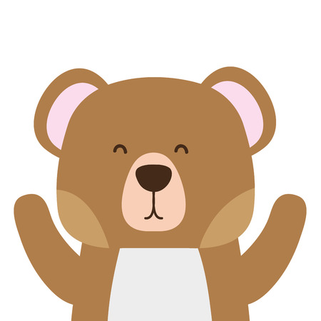 colorful adorable bear wild animal of the forestのイラスト素材