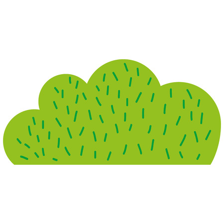 Colorful natural bush plant flat designのイラスト素材