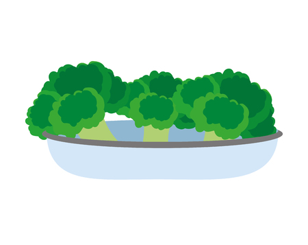 Isolated broccoli, design illustration on white background.のイラスト素材
