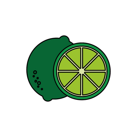 Isolated lemon designのイラスト素材