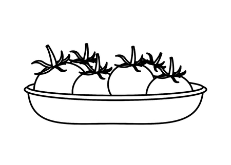 Isolated tomato designのイラスト素材