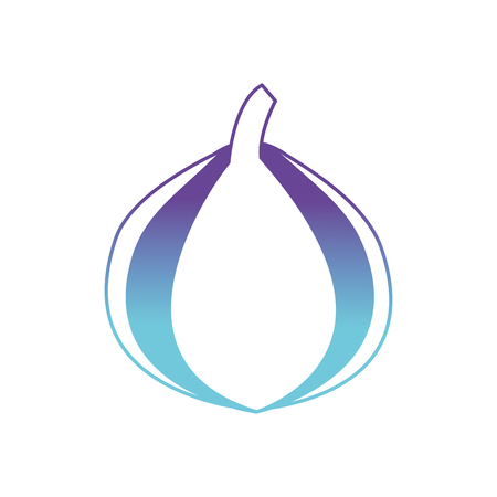 Isolated onion designのイラスト素材