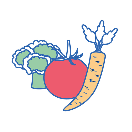 Tomato carrot and broccoli of vegetable healthy and organic food theme Isolated design Vector illustrationのイラスト素材