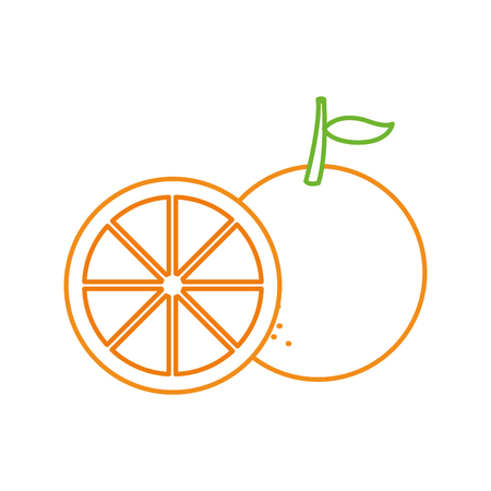 Orange of fruit healthy and organic food theme Isolated design Vector illustrationのイラスト素材