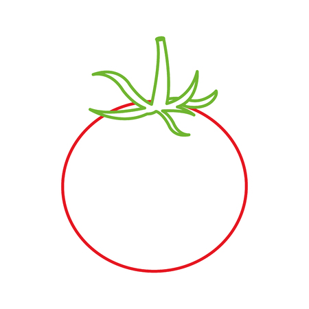 Isolated tomato designのイラスト素材