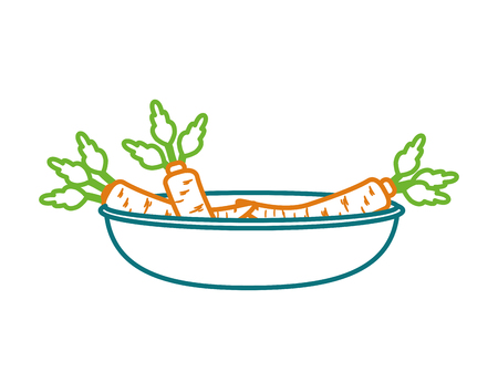 Carrot of vegetable healthy and organic food theme Isolated design Vector illustrationのイラスト素材