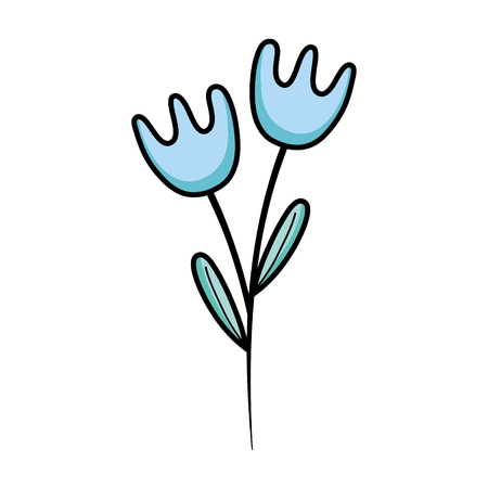 Naturals flowers with petals and leaves design vector illustrationのイラスト素材