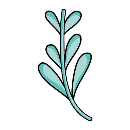 Natural herb plant organic ingredient illustration.のイラスト素材