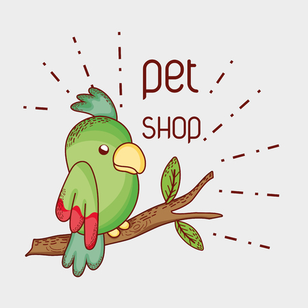 Parrot on tree branch pet shop vector illustration graphic designのイラスト素材