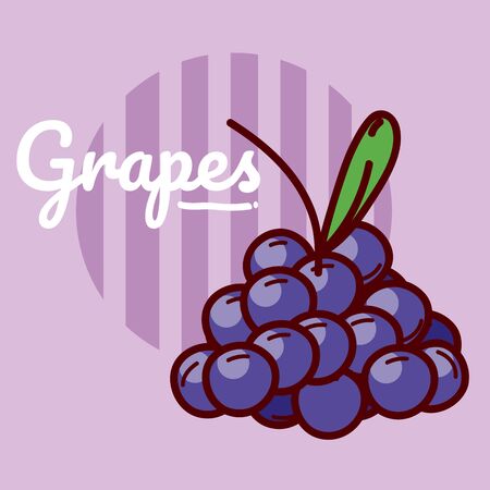 Grapes fruits cartoon.のイラスト素材