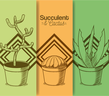Succulent and cactus desert plants vector illustration graphic designのイラスト素材