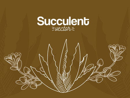 Succulent desert plants vector illustration graphic designのイラスト素材