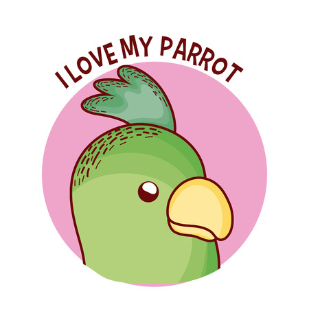 I love my parrot pet cartoon vector illustration graphic designのイラスト素材
