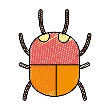 Doodle spider insect animal danger symbol designのイラスト素材