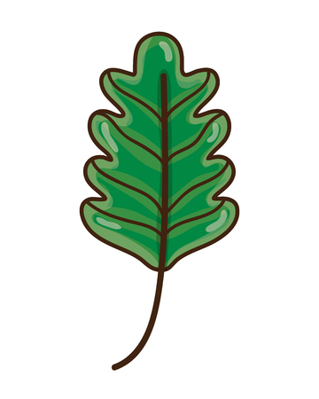 kale leaf tropical nature plantのイラスト素材