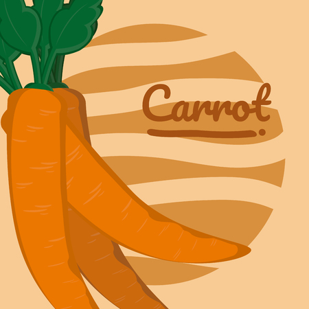 Organic carrots cartoon vector illustration graphic designのイラスト素材