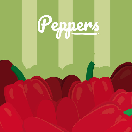 Red pepper vegetable template vector illustrationのイラスト素材