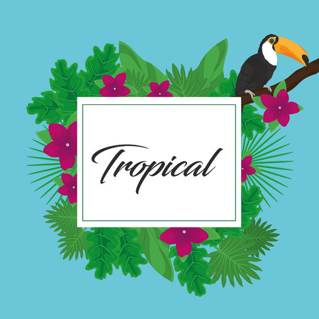 Tropic leaves flowers and toucan design Vector illustration.のイラスト素材