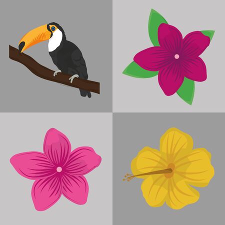 Tropic flowers and toucan designのイラスト素材