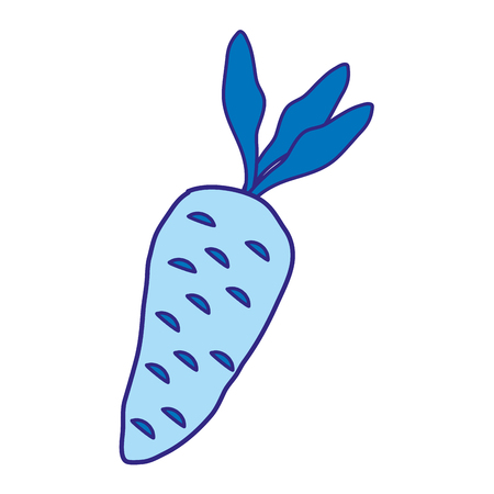 Duo color healthy carrot vegetable food taste vector illustration.のイラスト素材