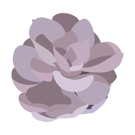 Cute flower with beautiful nature petals illustration.のイラスト素材