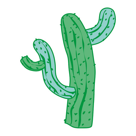 Duo color cactus plant nature design in the desert vector illustrationのイラスト素材